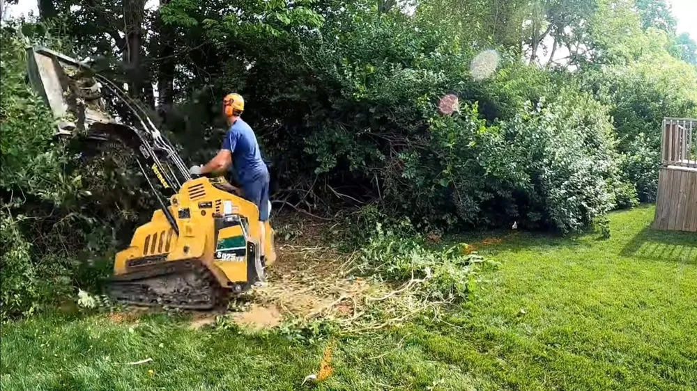 Custom landscaping services for beautiful yards in Eugene, OR by OregonScapes