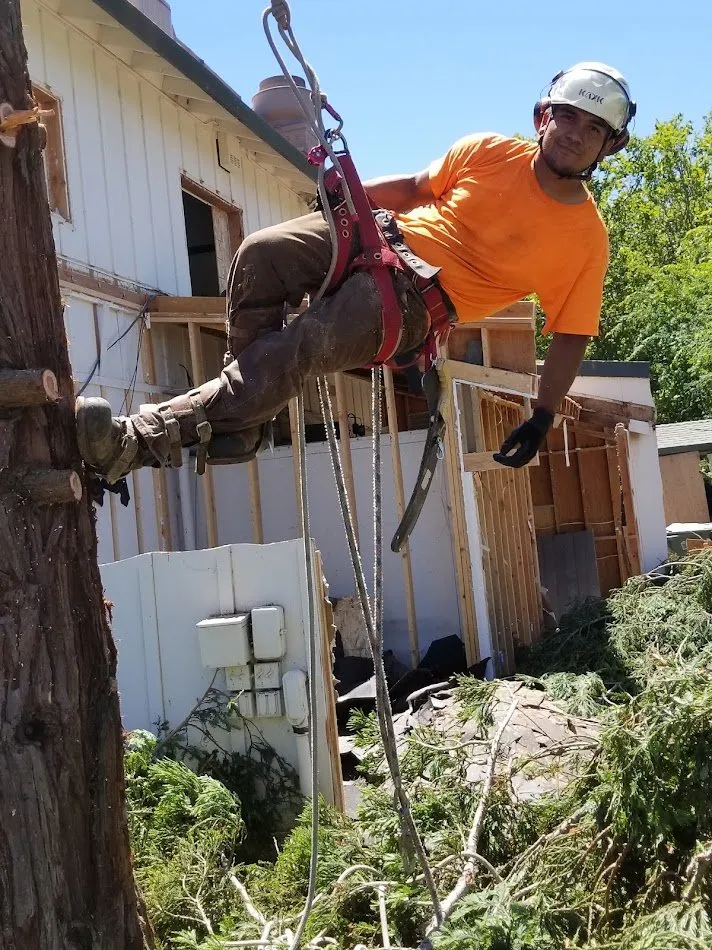 Local landscape installation near you in Eugene, OR by OregonScapes