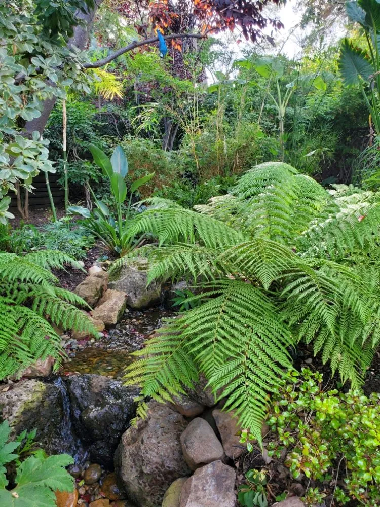 Reliable landscape installation in Eugene, OR - OregonScapes