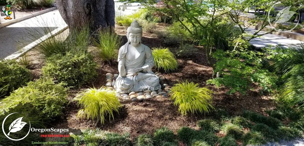 Reliable yard cleanup service in Eugene, OR by OregonScapes