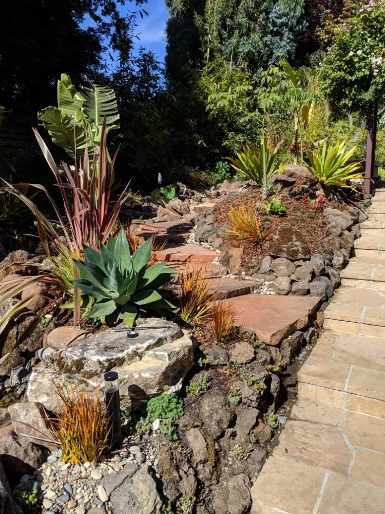 Custom lawn care service for year-round maintenance in Eugene, OR by OregonScapes