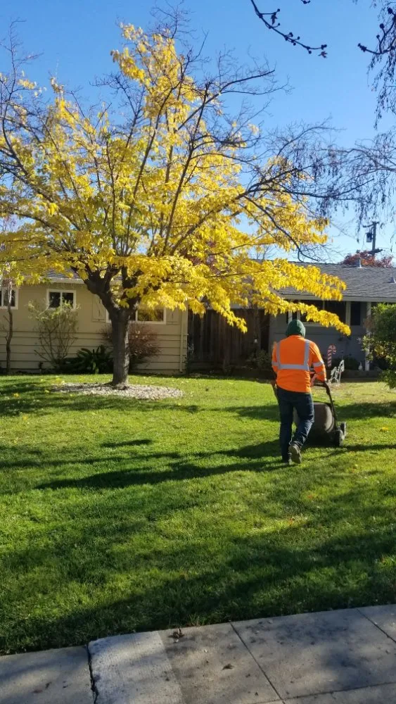 Professional lawn mowing service experts serving Eugene, OR - OregonScapes