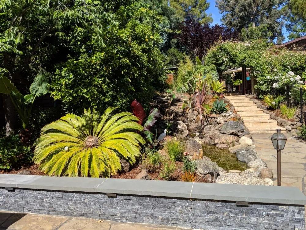 Expert outdoor landscaping for beautiful yards in Eugene, OR by OregonScapes