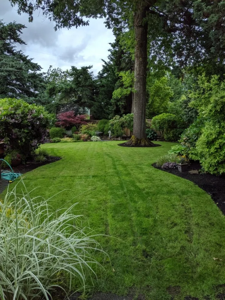 Expert landscaping services experts serving Eugene, OR - OregonScapes