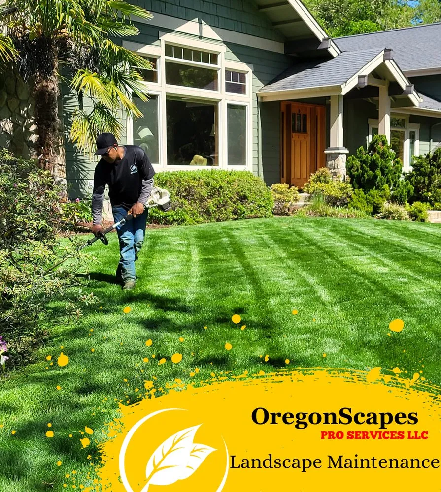 Local lawn care service experts serving Eugene, OR - OregonScapes