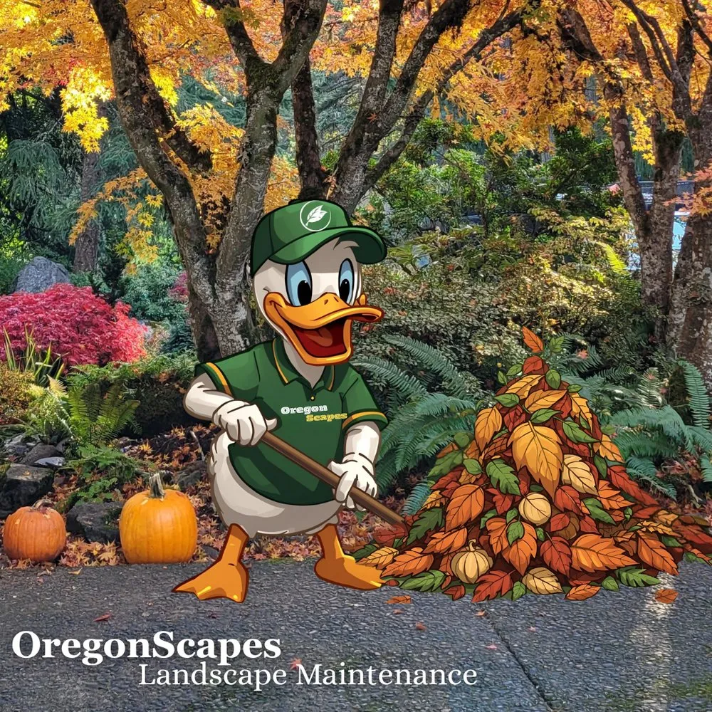 Expert lawn care service experts serving Eugene, OR - OregonScapes