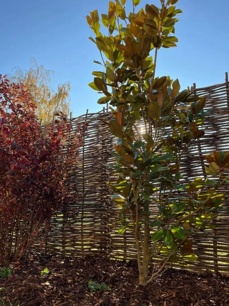 Expert residential landscaping in Eugene, OR - OregonScapes