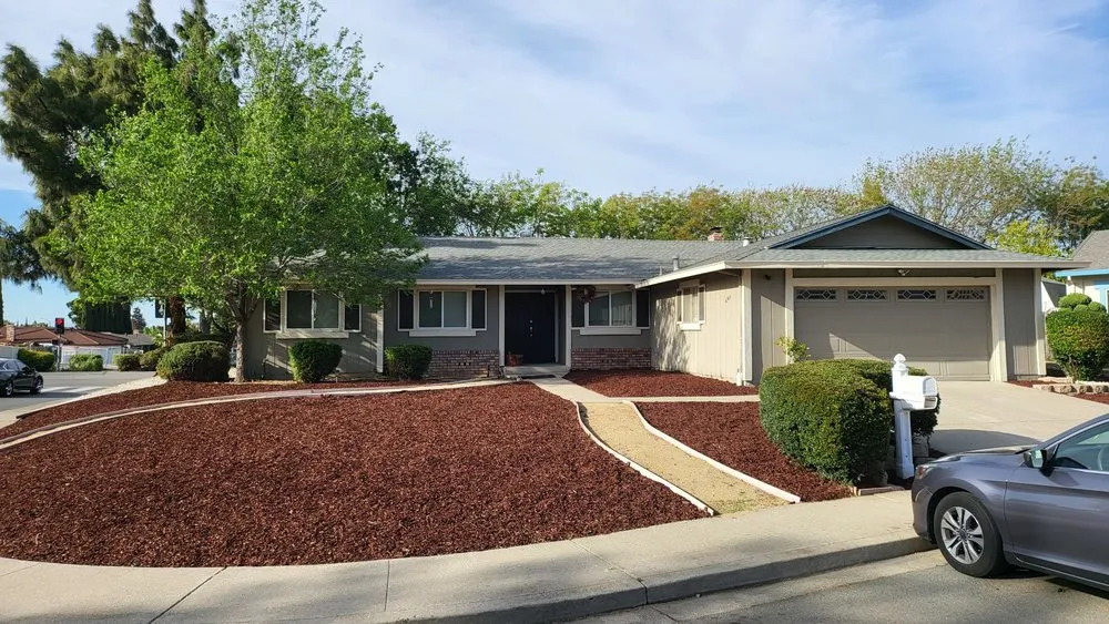 Local lawn care service experts serving Bay Point, CA - Orellana Garden