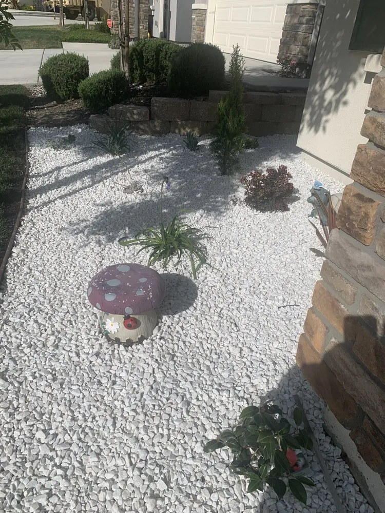 Expert yard cleanup service in Bay Point, CA - Orellana Garden