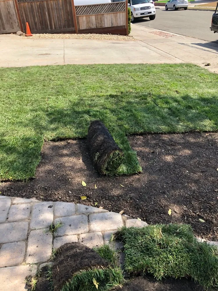 Custom garden landscaping in Bay Point, CA by Orellana Garden