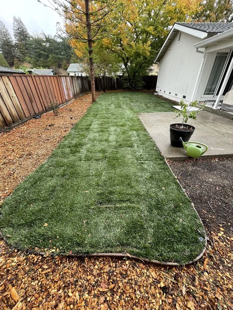 Trusted outdoor landscaping with custom design in Bay Point, CA by Orellana Garden