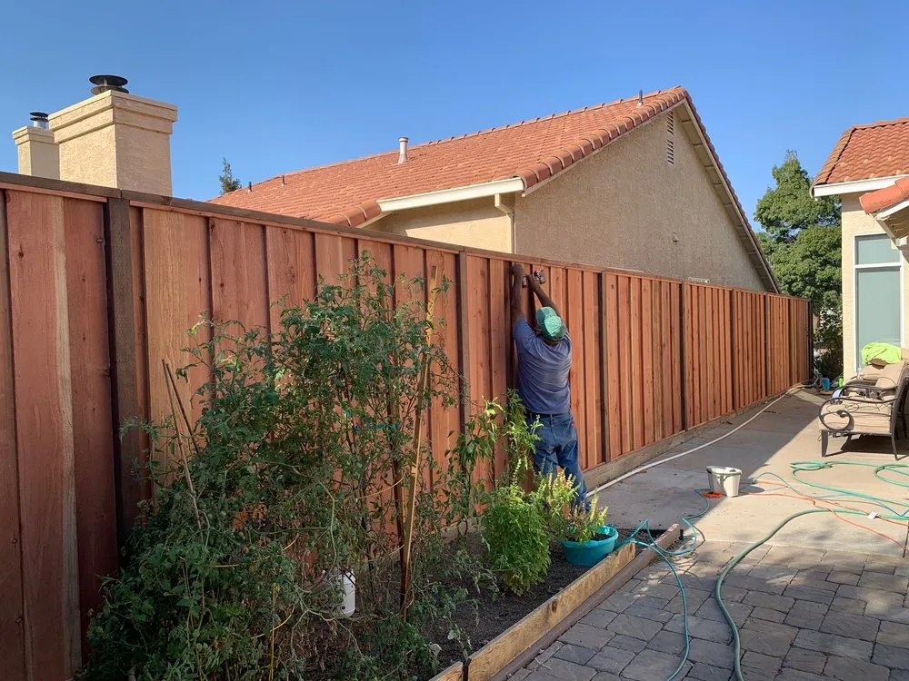 Top-rated yard maintenance in Bay Point, CA by Orellana Garden