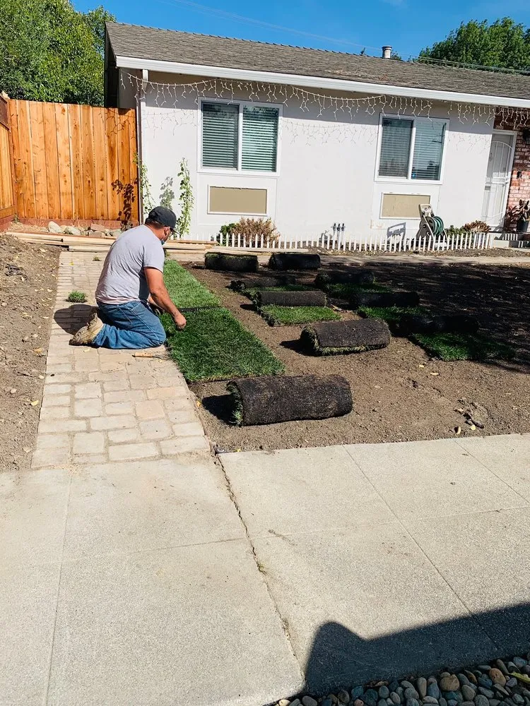Trusted lawn mowing service in Bay Point, CA by Orellana Garden