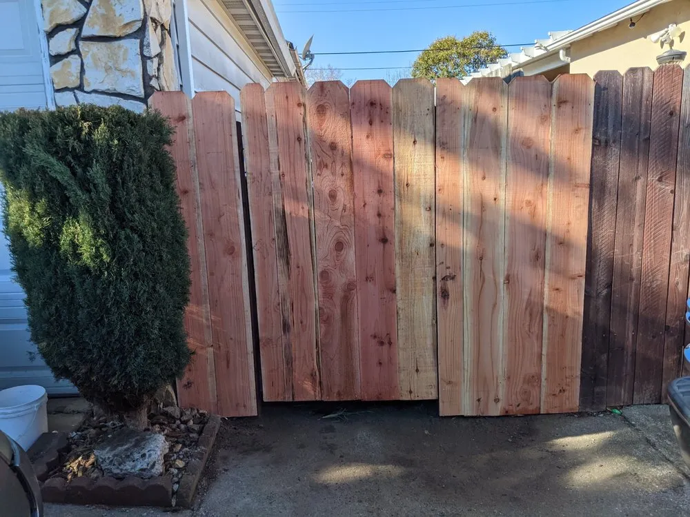 Professional yard maintenance in Bay Point, CA - Orellana Garden