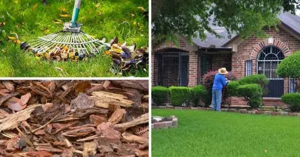 Professional outdoor landscaping in San Antonio, TX by Orellana Landscaping Services