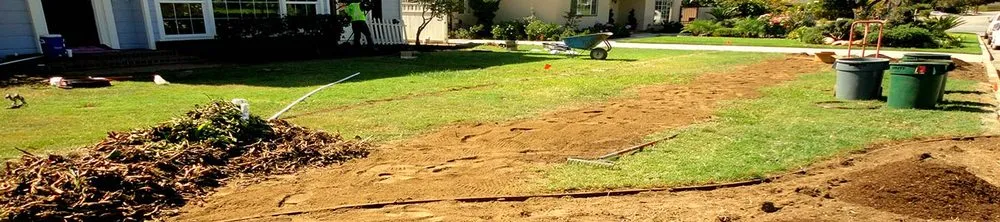 Trusted yard maintenance in San Antonio, TX by Orellana Landscaping Services