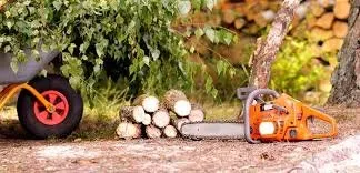 Affordable lawn mowing service in San Antonio, TX by Orellana Landscaping Services