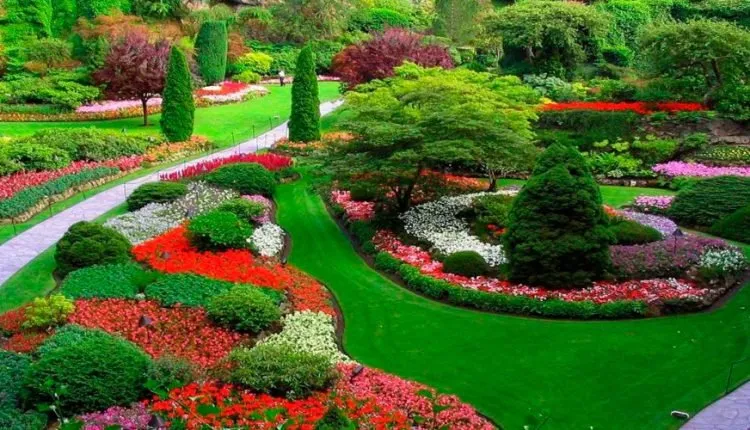 Local lawn care service in San Antonio, TX by Orellana Landscaping Services