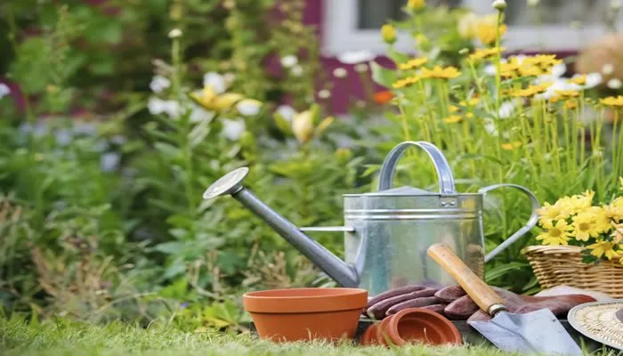 Professional lawn mowing service in San Antonio, TX by Orellana Landscaping Services