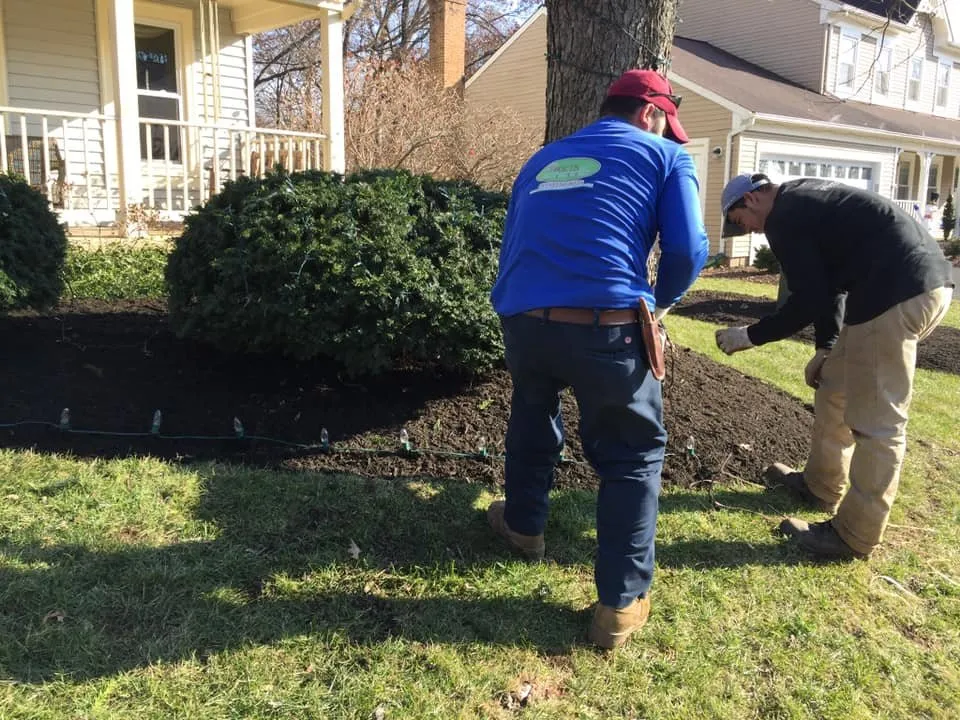 Top-rated lawn mowing service in Fairfax, VA - Orellana Lawn & Tree Services