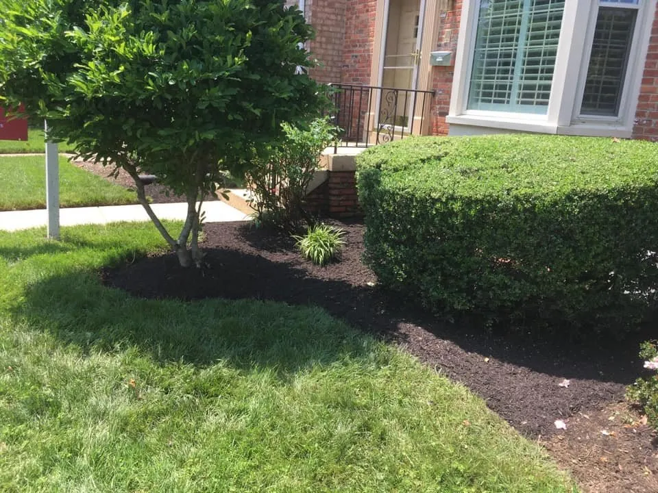Expert lawn mowing service with custom design in Fairfax, VA by Orellana Lawn & Tree Services