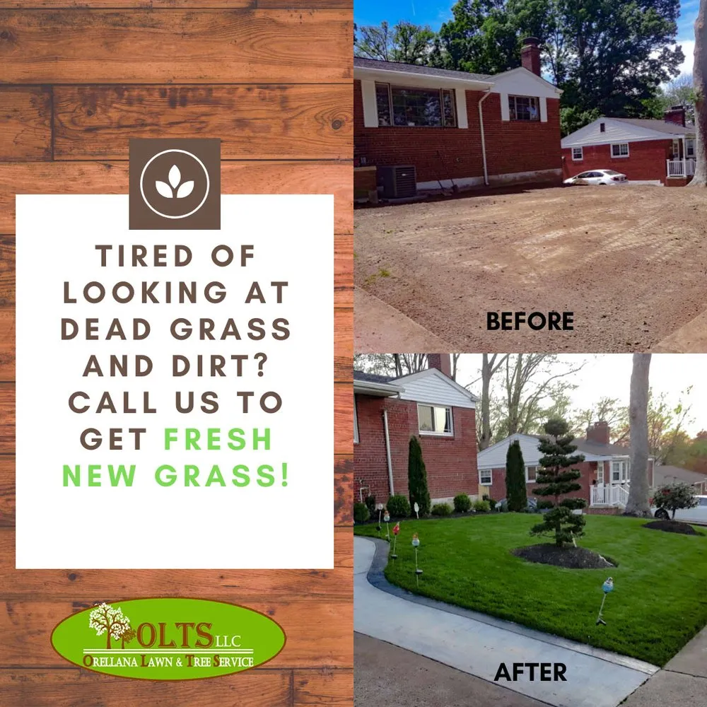 Top-rated lawn mowing service experts serving Fairfax, VA - Orellana Lawn & Tree Services