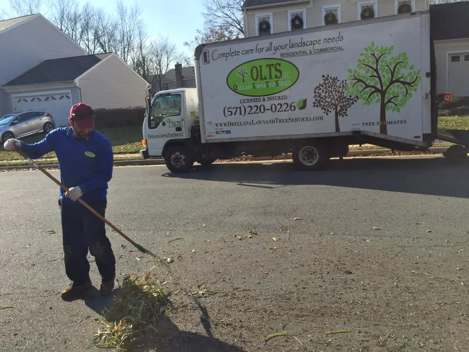 Expert outdoor landscaping in Fairfax, VA - Orellana Lawn & Tree Services