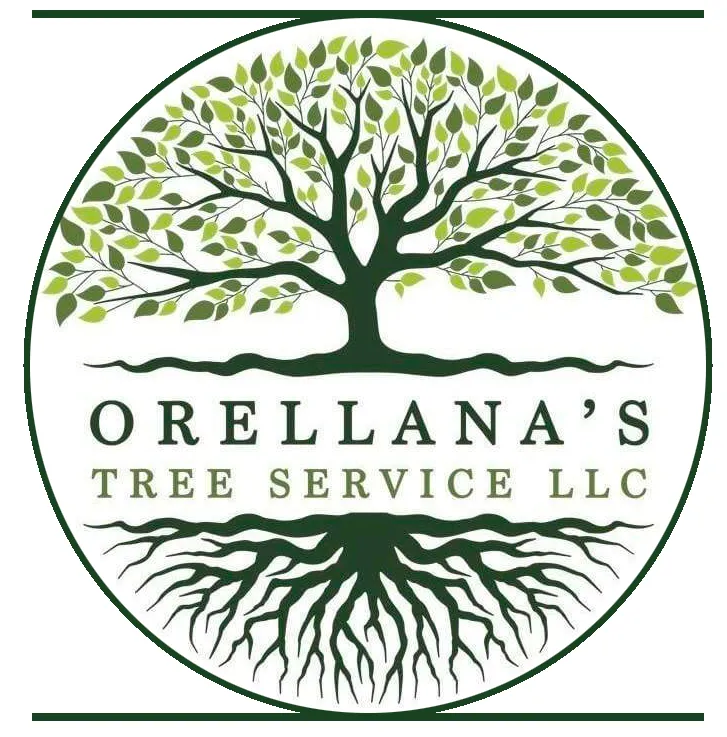 Trusted outdoor landscaping with custom design across Essex, MD - Orellana Tree Service