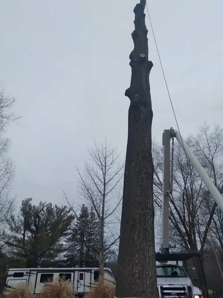 Expert residential landscaping for outdoor upgrades in Essex, MD by Orellana Tree Service