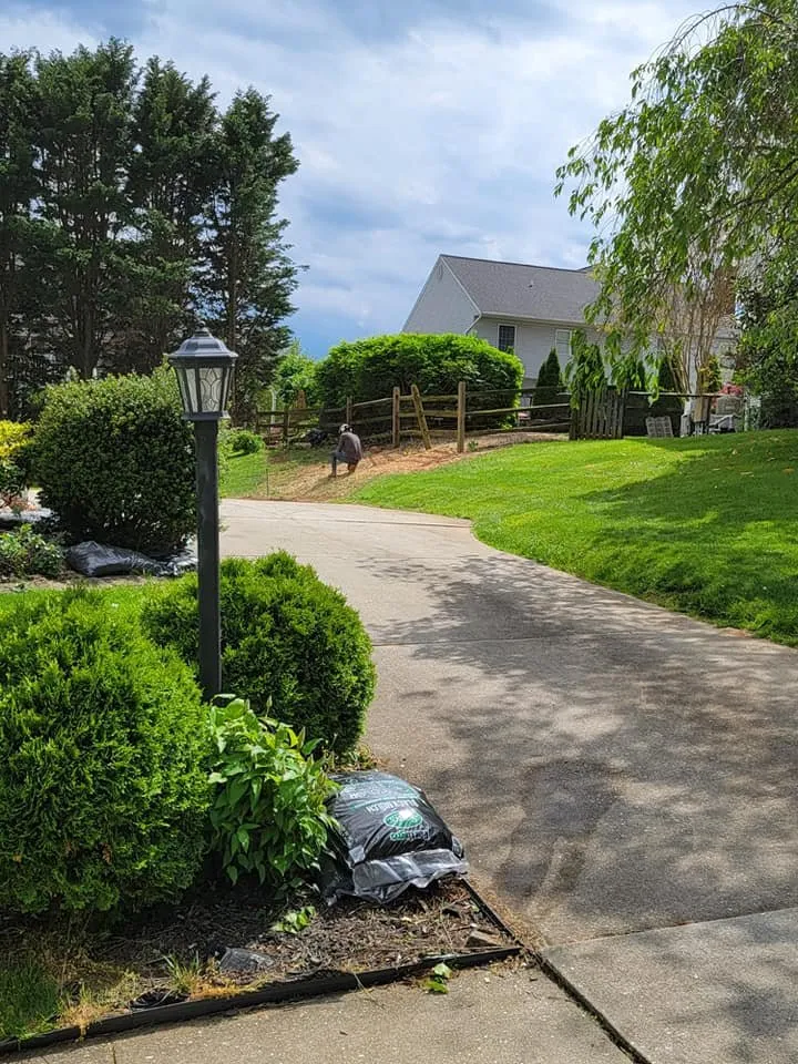 Trusted yard maintenance experts serving Essex, MD - Orellana Tree Service