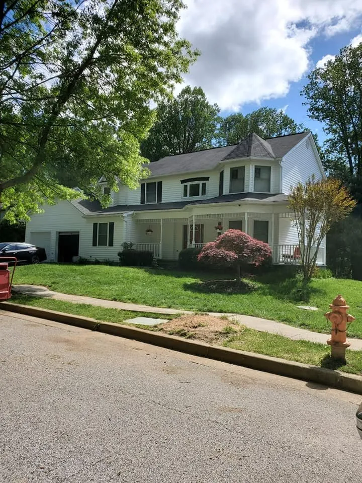 Top-rated landscape design in Essex, MD - Orellana Tree Service