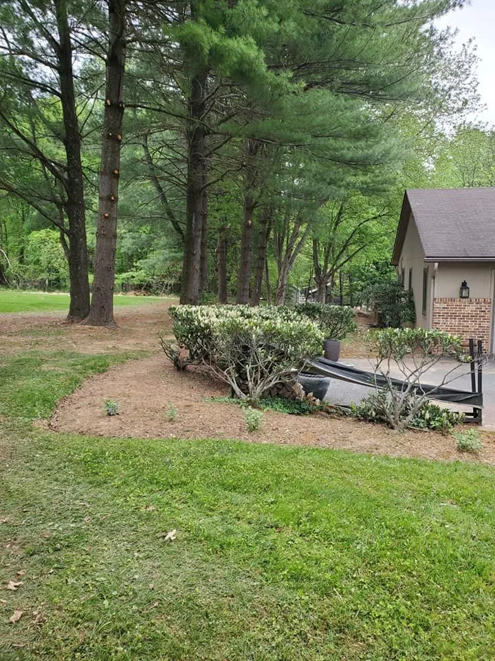 Professional lawn care service for year-round maintenance across Essex, MD - Orellana Tree Service