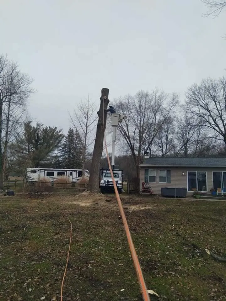 Local garden landscaping for year-round maintenance across Essex, MD - Orellana Tree Service