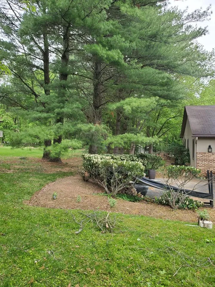 Top-rated garden landscaping in Essex, MD by Orellana Tree Service