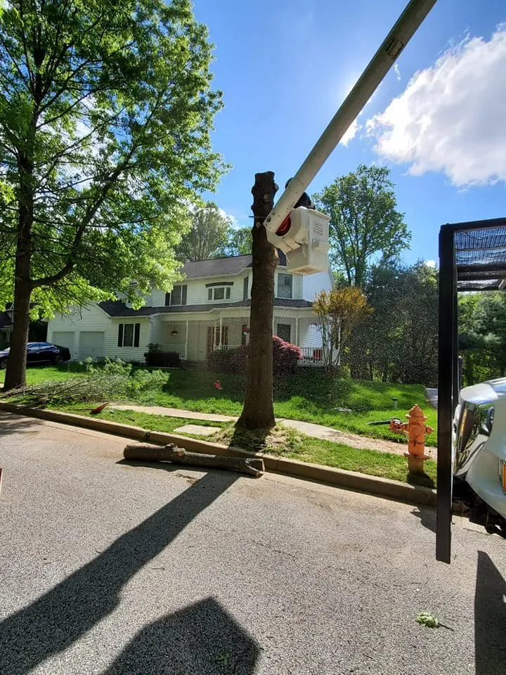 Custom residential landscaping in Essex, MD - Orellana Tree Service