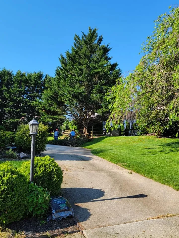 Custom lawn mowing service for outdoor upgrades across Essex, MD - Orellana Tree Service