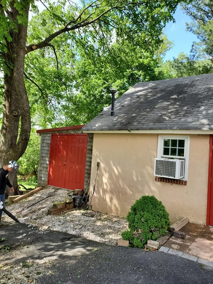 Affordable lawn care service in Essex, MD - Orellana Tree Service