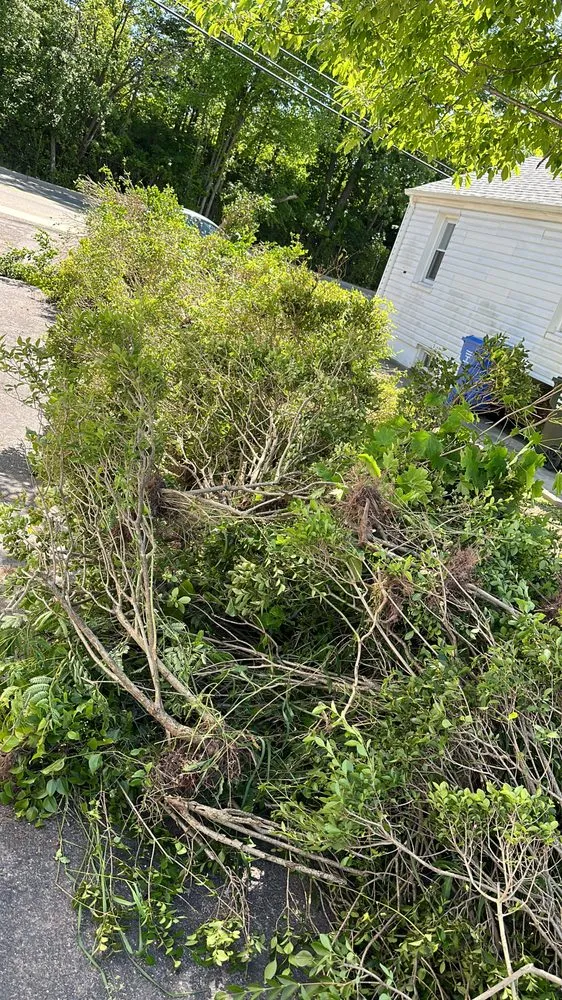 Expert garden landscaping for year-round maintenance in Bound Brook, NJ by Orellana Works