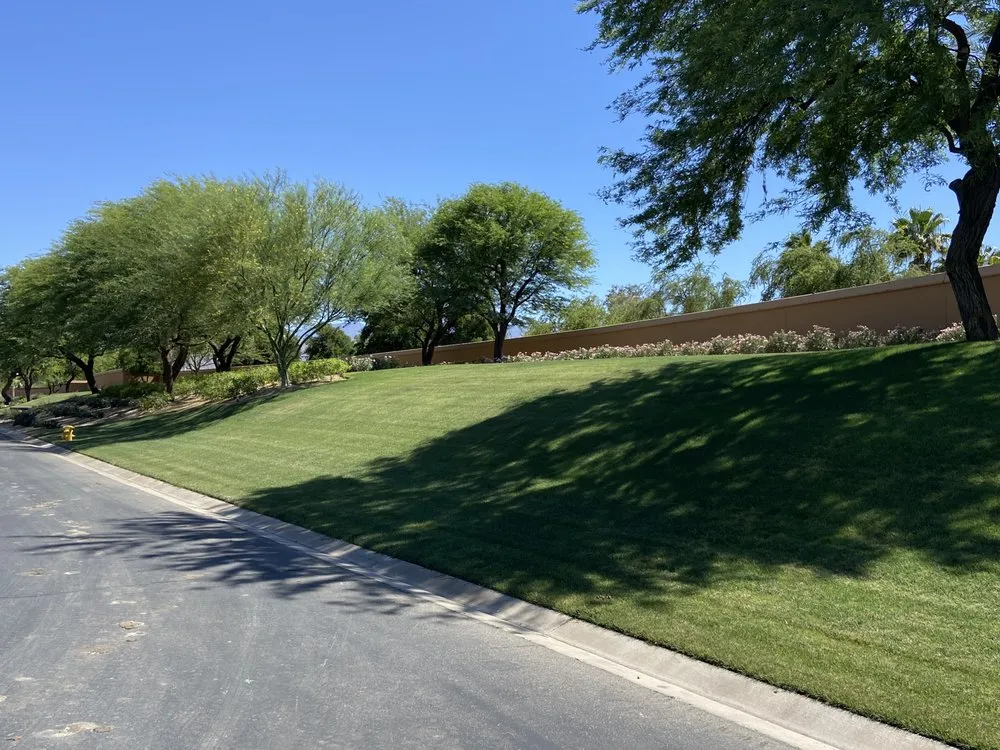 Affordable residential landscaping for beautiful yards in North Palm Springs, CA by Orellana’s landscape