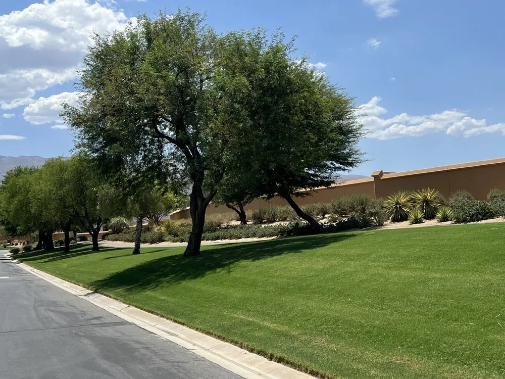 Professional lawn care service experts serving North Palm Springs, CA - Orellana’s landscape