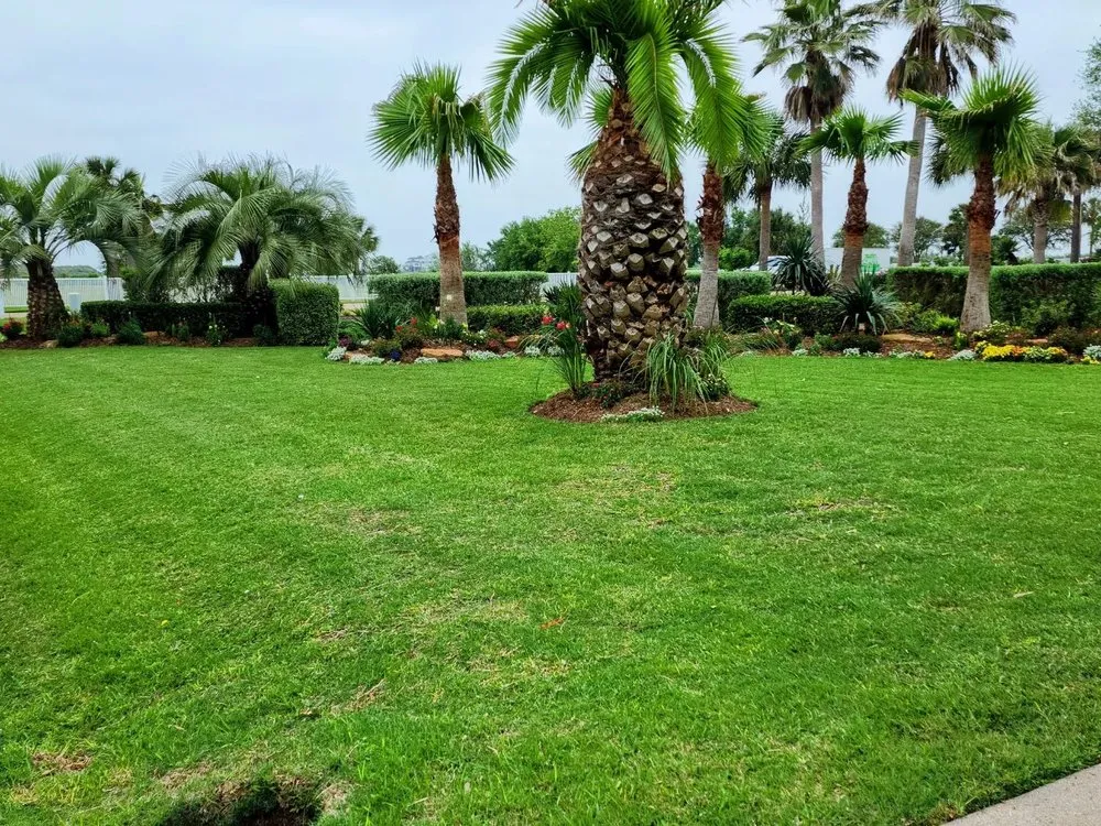 Top-rated landscaping services in Galveston, TX by Orellana's Lawn & Garden