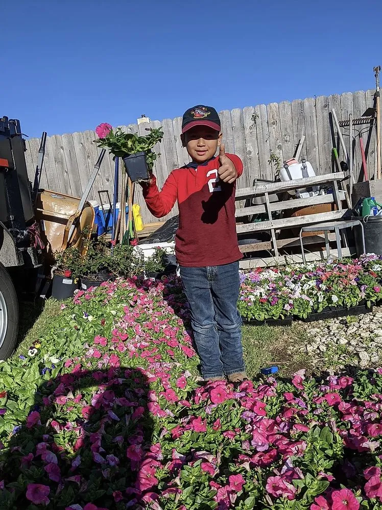 Professional yard maintenance in Galveston, TX by Orellana's Lawn & Garden