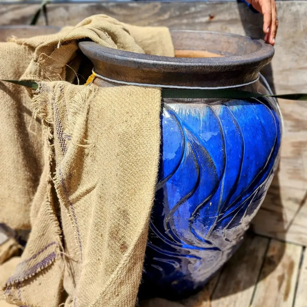 Top-rated landscaping services for residential properties across Galveston, TX - Orellana's Lawn & Garden