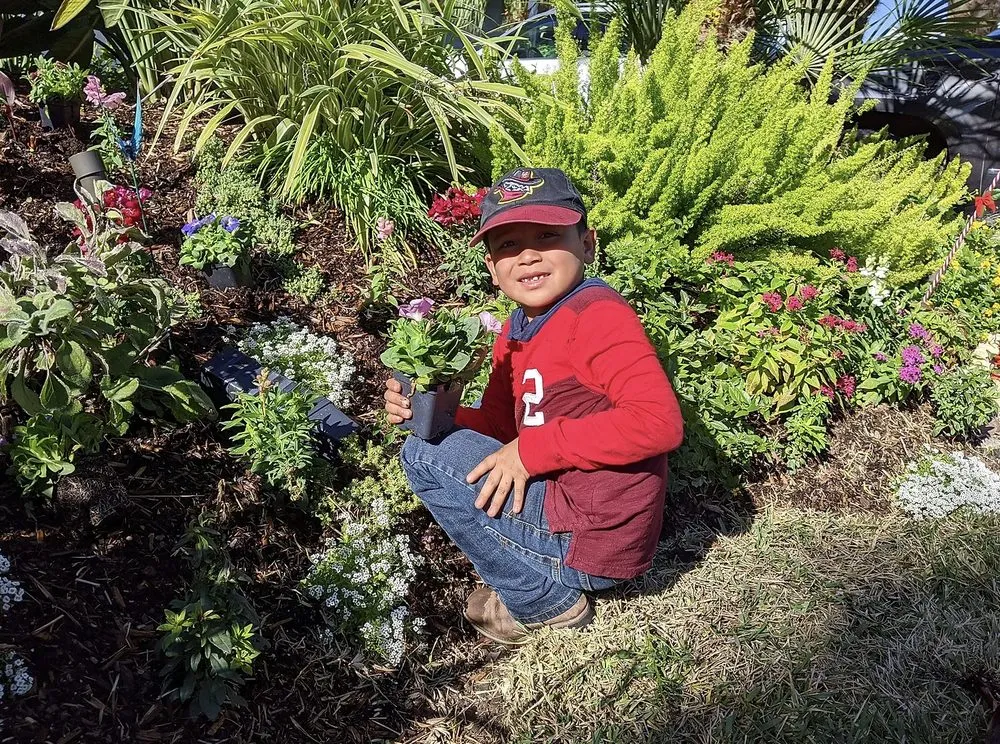 Trusted landscape installation for outdoor upgrades across Galveston, TX - Orellana's Lawn & Garden