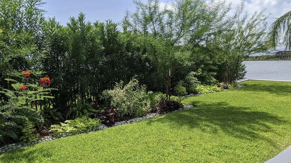 Expert yard maintenance near you in Galveston, TX by Orellana's Lawn & Garden