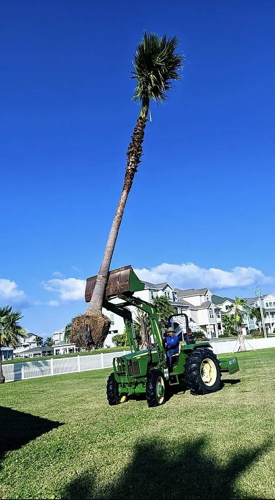 Affordable lawn care service with custom design in Galveston, TX by Orellana's Lawn & Garden