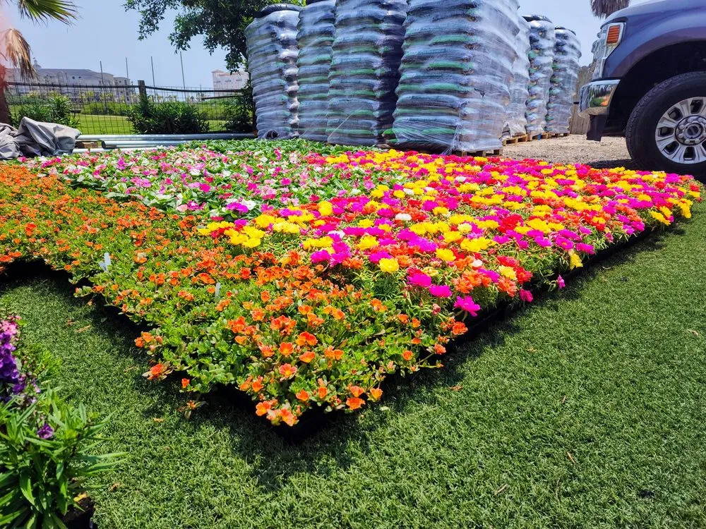 Expert landscaping services experts serving Galveston, TX - Orellana's Lawn & Garden
