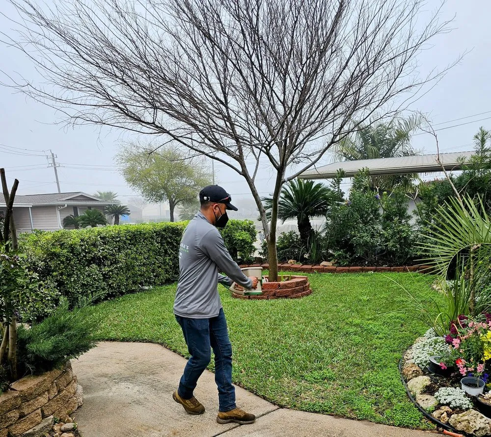 Trusted landscaping services in Galveston, TX - Orellana's Lawn & Garden