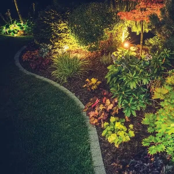 Professional landscape design in Redwood City, CA by Orendain Landscapes