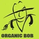 Trusted outdoor landscaping near you across Minneapolis, MN - Organic Bob